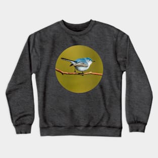 Little Cute Bird Photograph. Blue-Gray Gnatcatcher Crewneck Sweatshirt